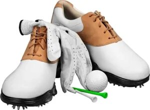 Choosing the Perfect Golf Shoes A Comprehensive Guide for Performance and Style